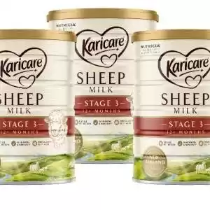 Karicare 可瑞康Sheep 婴幼儿绵羊奶粉2段 整箱6罐 (900g /罐)